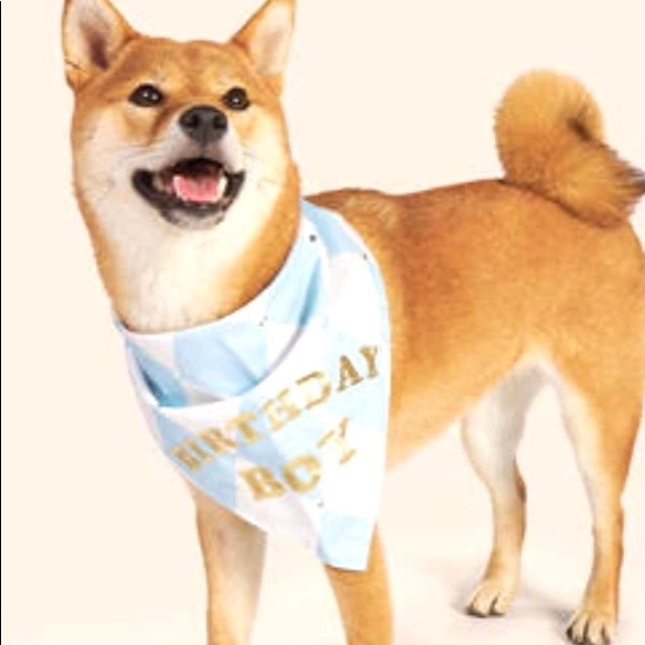 Francesca’s Collections Birthday Boy Bandana - Picture 2 of 8